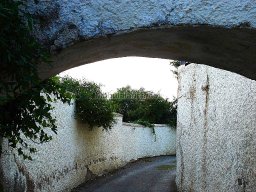 Mula Antigua serie-2